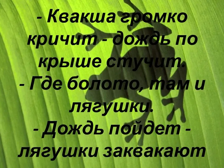 - Квакша громко кричит - дождь по крыше стучит. - Где болото,