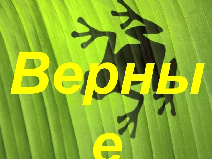 Верные