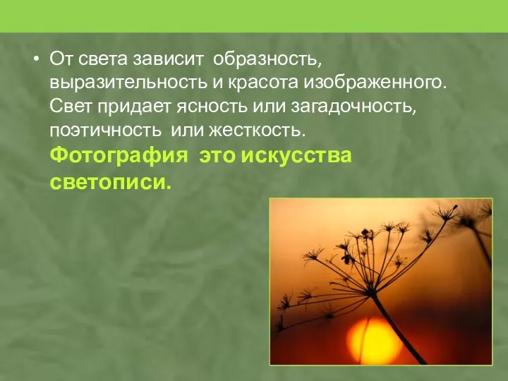 От света зависит образность, выразительность и красота изображенного. Свет придает ясность или