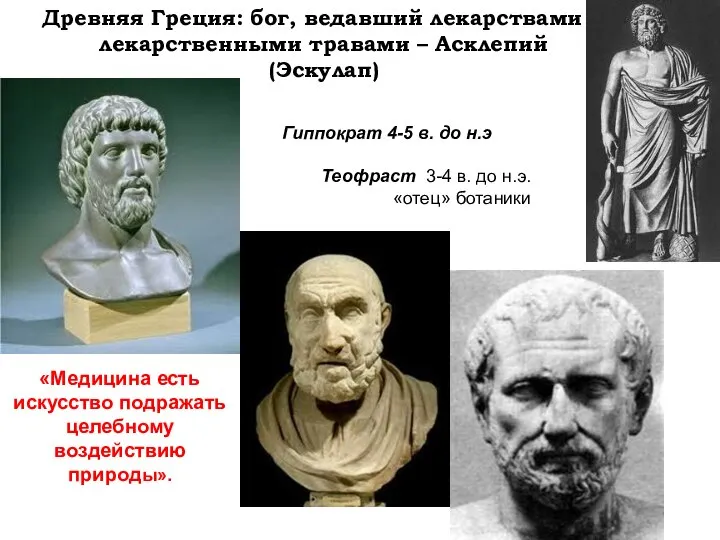 Древняя Греция: бог, ведавший лекарствами и лекарственными травами – Асклепий (Эскулап) Гиппократ