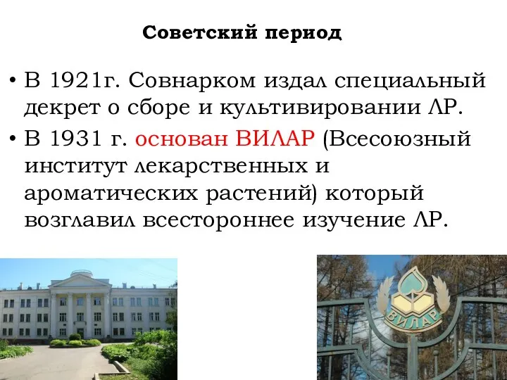 Советский период В 1921г. Совнарком издал специальный декрет о сборе и культивировании