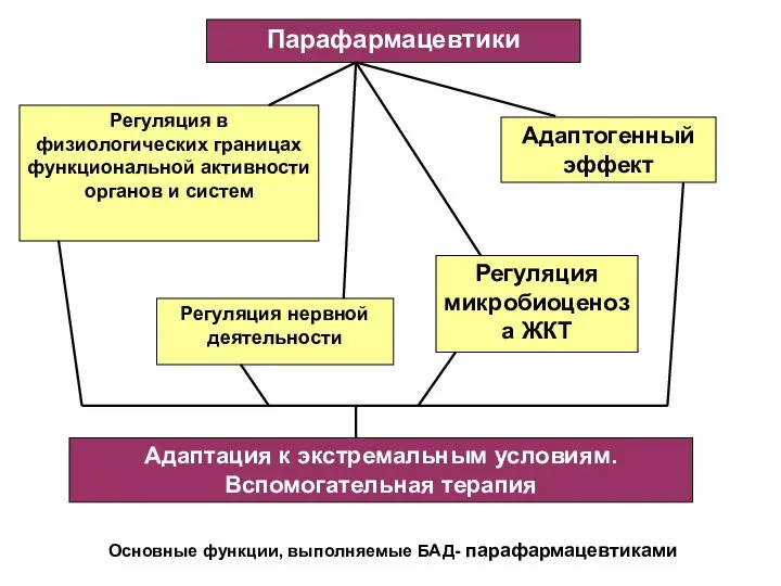 Парафармацевтики Регуляция в физиологических границах функциональной активности органов и систем Адаптогенный эффект