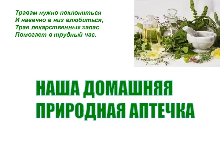 Травам нужно поклониться И навечно в них влюбиться, Трав лекарственных запас Помогает