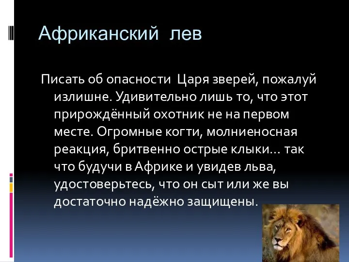 Африканский лев Писать об опасности Царя зверей, пожалуй излишне. Удивительно лишь то,