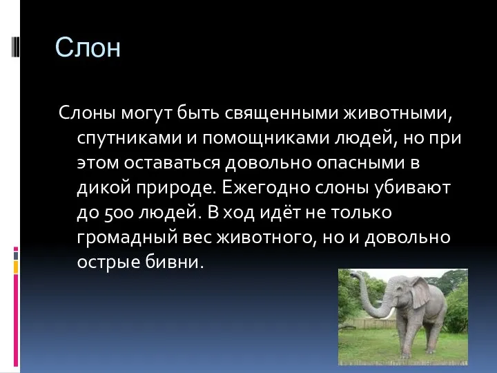 Слон Слоны могут быть священными животными, спутниками и помощниками людей, но при