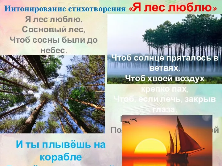 Я лес люблю. Сосновый лес, Чтоб сосны были до небес. Чтобы кололи