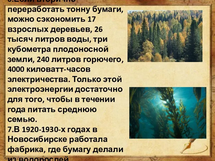 6.Если вторично переработать тонну бумаги, можно сэкономить 17 взрослых деревьев, 26 тысяч