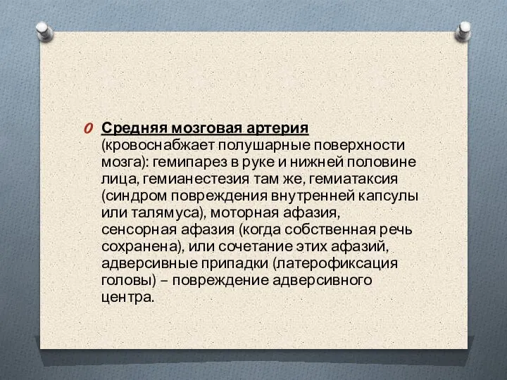 Средняя мозговая артерия (кровоснабжает полушарные поверхности мозга): гемипарез в руке и нижней