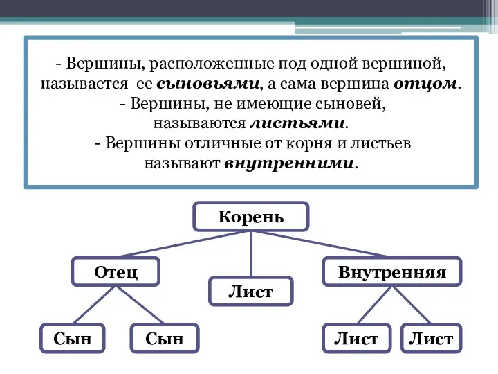 - Вершины, расположенные под одной вершиной, называется ее сыновьями, а сама вершина