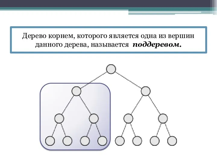 Дерево корнем, которого является одна из вершин данного дерева, называется поддеревом.