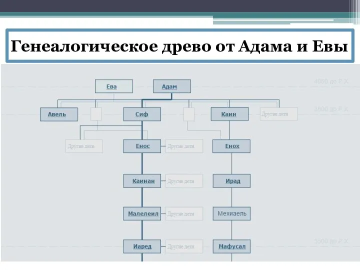 Генеалогическое древо от Адама и Евы