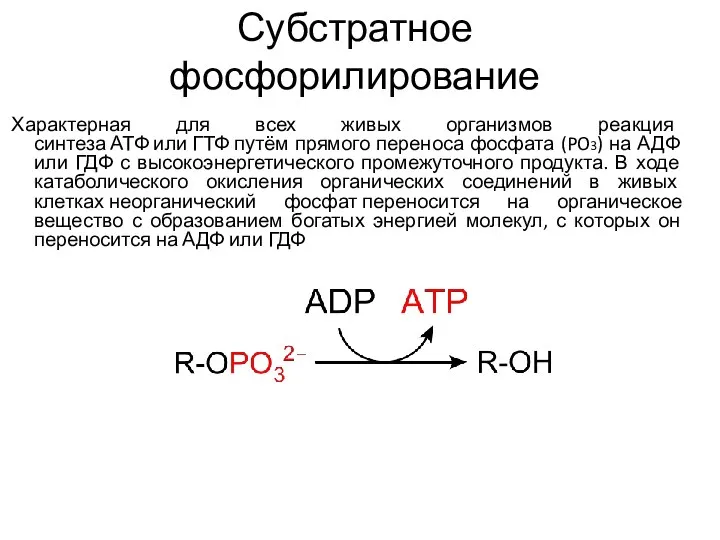 Субстратное фосфорилирование Характерная для всех живых организмов реакция синтеза АТФ или ГТФ
