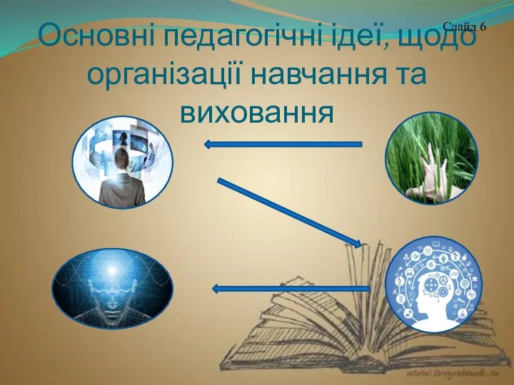 Основні педагогічні ідеї, щодо організації навчання та виховання Слайд 6