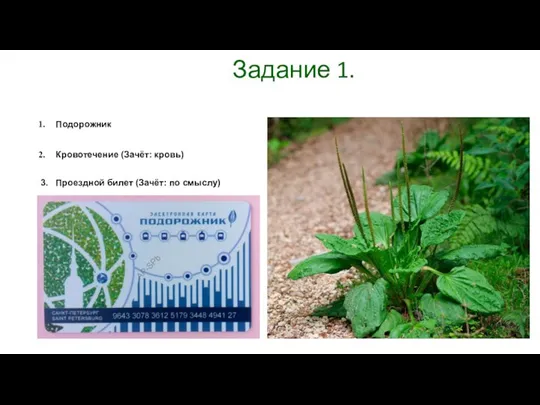 Задание 1. Подорожник Кровотечение (Зачёт: кровь) 3. Проездной билет (Зачёт: по смыслу)