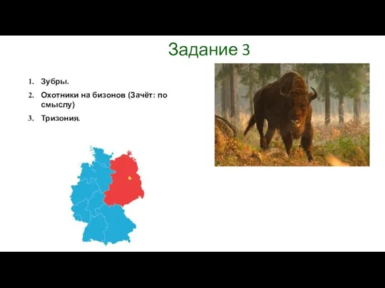 Задание 3 Зубры. Охотники на бизонов (Зачёт: по смыслу) Тризония.