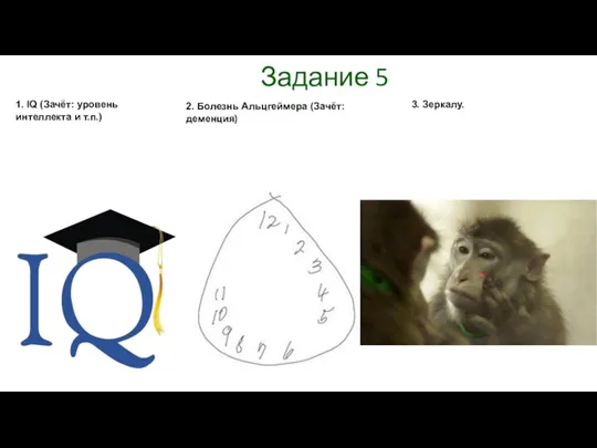 Задание 5 2. Болезнь Альцгеймера (Зачёт: деменция) 3. Зеркалу. 1. IQ (Зачёт: уровень интеллекта и т.п.)