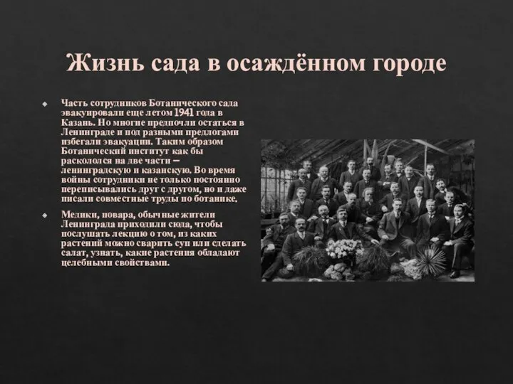 Жизнь сада в осаждённом городе Часть сотрудников Ботанического сада эвакуировали еще летом