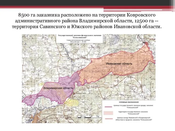 8500 га заказника расположено на территории Ковровского административного района Владимирской области, 12500