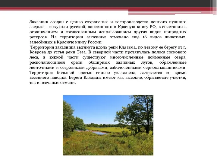 Заказник создан с целью сохранения и воспроизводства ценного пушного зверька –выхухоли русской,