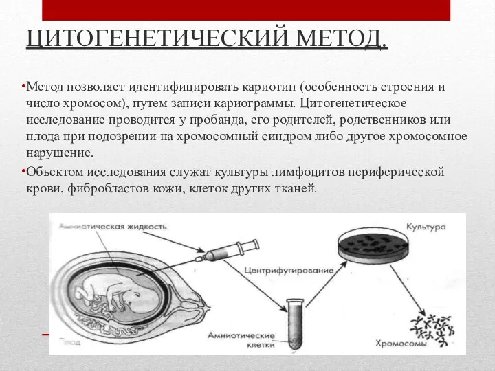 ЦИТОГЕНЕТИЧЕСКИЙ МЕТОД. Метод позволяет идентифицировать кариотип (особенность строения и число хромосом), путем