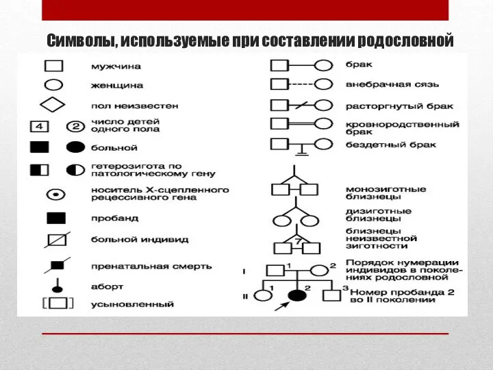 Символы, используемые при составлении родословной