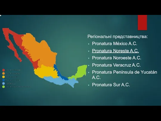 Регіональні представництва: Pronatura México A.C. Pronatura Noreste A.C. Pronatura Noroeste A.C. Pronatura
