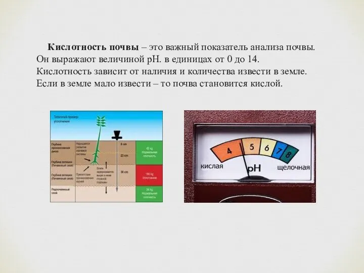 Кислотность почвы – это важный показатель анализа почвы. Он выражают величиной рН.