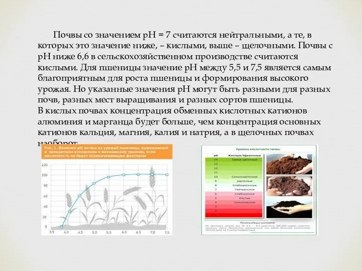 Почвы со значением рН = 7 считаются нейтральными, а те, в которых