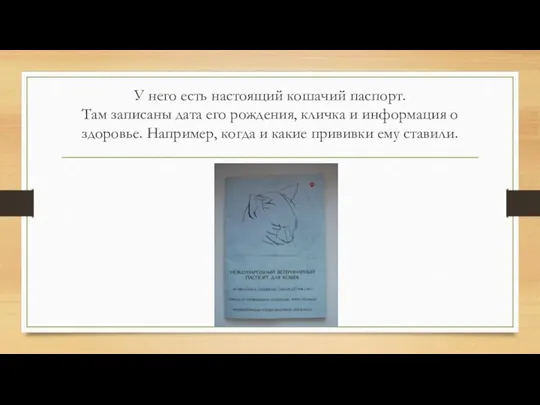 У него есть настоящий кошачий паспорт. Там записаны дата его рождения, кличка