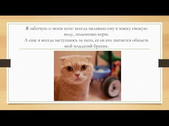 Я забочусь о моем коте: всегда наливаю ему в миску свежую воду,