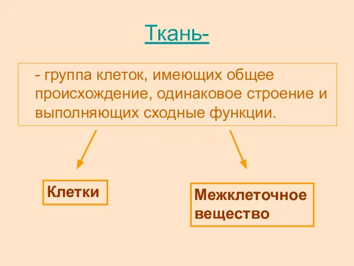 Ткань- - группа клеток, имеющих общее происхождение, одинаковое строение и выполняющих сходные функции. Клетки Межклеточное вещество