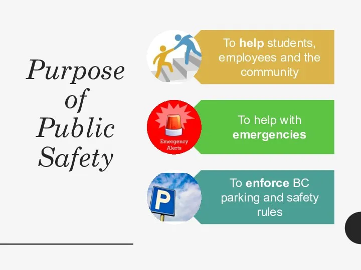 Purpose of Public Safety