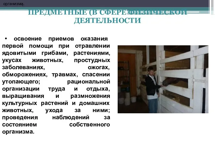 ПРЕДМЕТНЫЕ (В СФЕРЕ ФИЗИЧЕСКОЙ ДЕЯТЕЛЬНОСТИ организма. ; • освоение приемов оказания первой