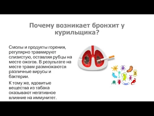 Почему возникает бронхит у курильщика? Смолы и продукты горения, регулярно травмируют слизистую,