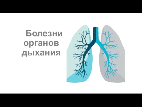 Болезни органов дыхания