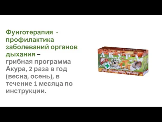 Фунготерапия - профилактика заболеваний органов дыхания – грибная программа Акура, 2 раза