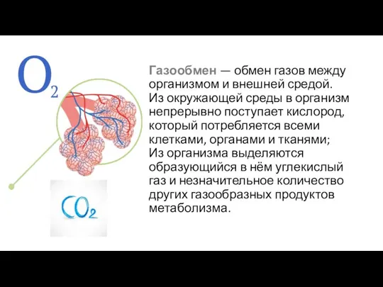 Газообмен — обмен газов между организмом и внешней средой. Из окружающей среды