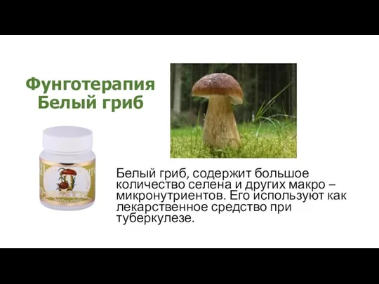 Фунготерапия Белый гриб Белый гриб, содержит большое количество селена и других макро