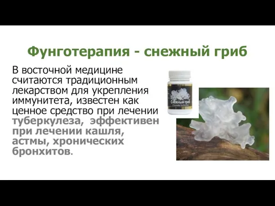 Фунготерапия - снежный гриб В восточной медицине считаются традиционным лекарством для укрепления