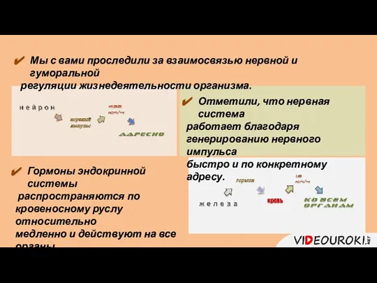 Мы с вами проследили за взаимосвязью нервной и гуморальной регуляции жизнедеятельности организма.