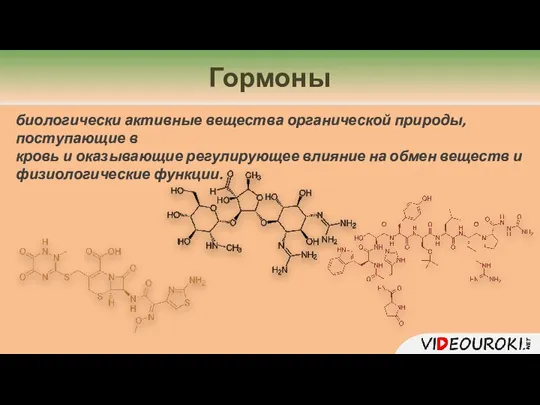 Гормоны биологически активные вещества органической природы, поступающие в кровь и оказывающие регулирующее