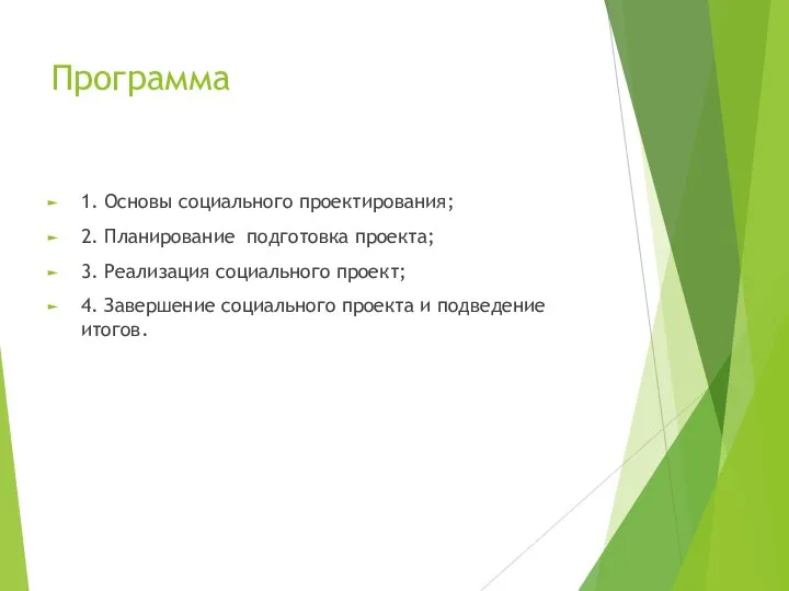 Программа 1. Основы социального проектирования; 2. Планирование подготовка проекта; 3. Реализация социального