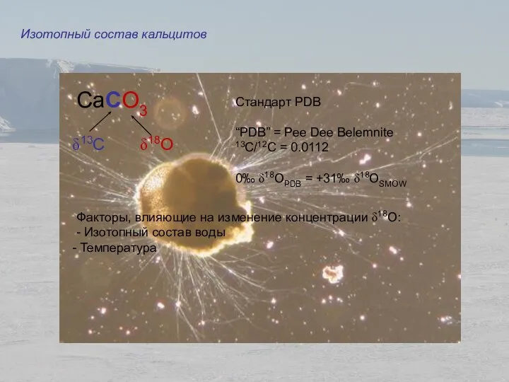 Изотопный состав кальцитов Стандарт PDB “PDB” = Pee Dee Belemnite 13C/12C =