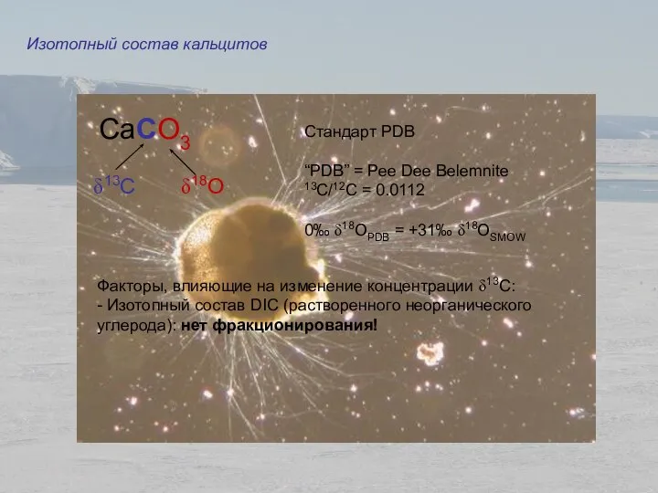 Изотопный состав кальцитов Стандарт PDB “PDB” = Pee Dee Belemnite 13C/12C =