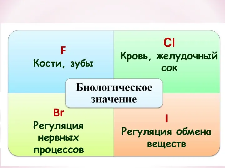 F Кости, зубы Сl Кровь, желудочный сок Br Регуляция нервных процессов I Регуляция обмена веществ