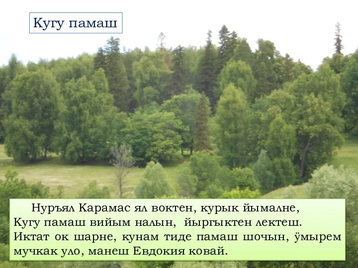 Кугу памаш Нуръял Карамас ял воктен, курык йымалне, Кугу памаш вийым налын,