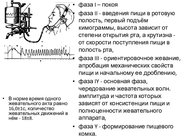 В норме время одного жевательного акта равно 16,0±1с, количество жевательных движений в