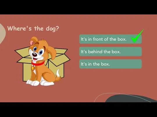 Where's the dog? It's in the box. It's behind the box. It's