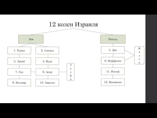 12 колен Израиля Лия Рахиль 1. Рувим 3. Левий 7. Гад 9.