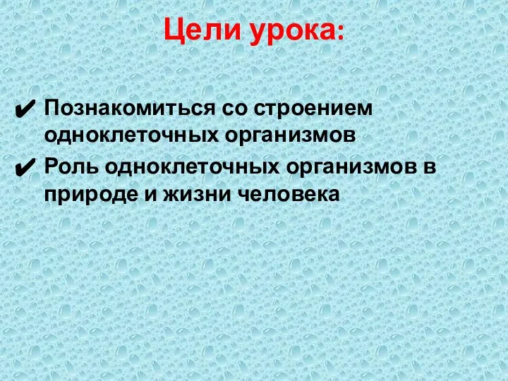 Познакомиться со строением одноклеточных организмов Роль одноклеточных организмов в природе и жизни человека Цели урока: